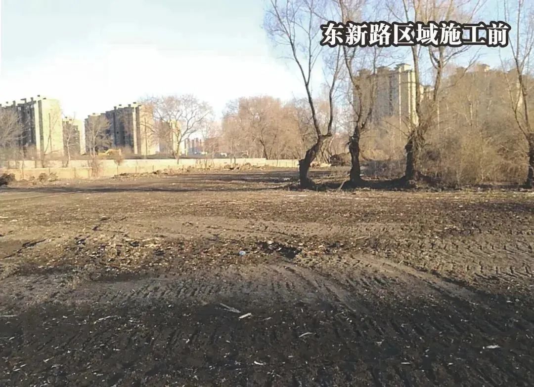 03.jpg 图片