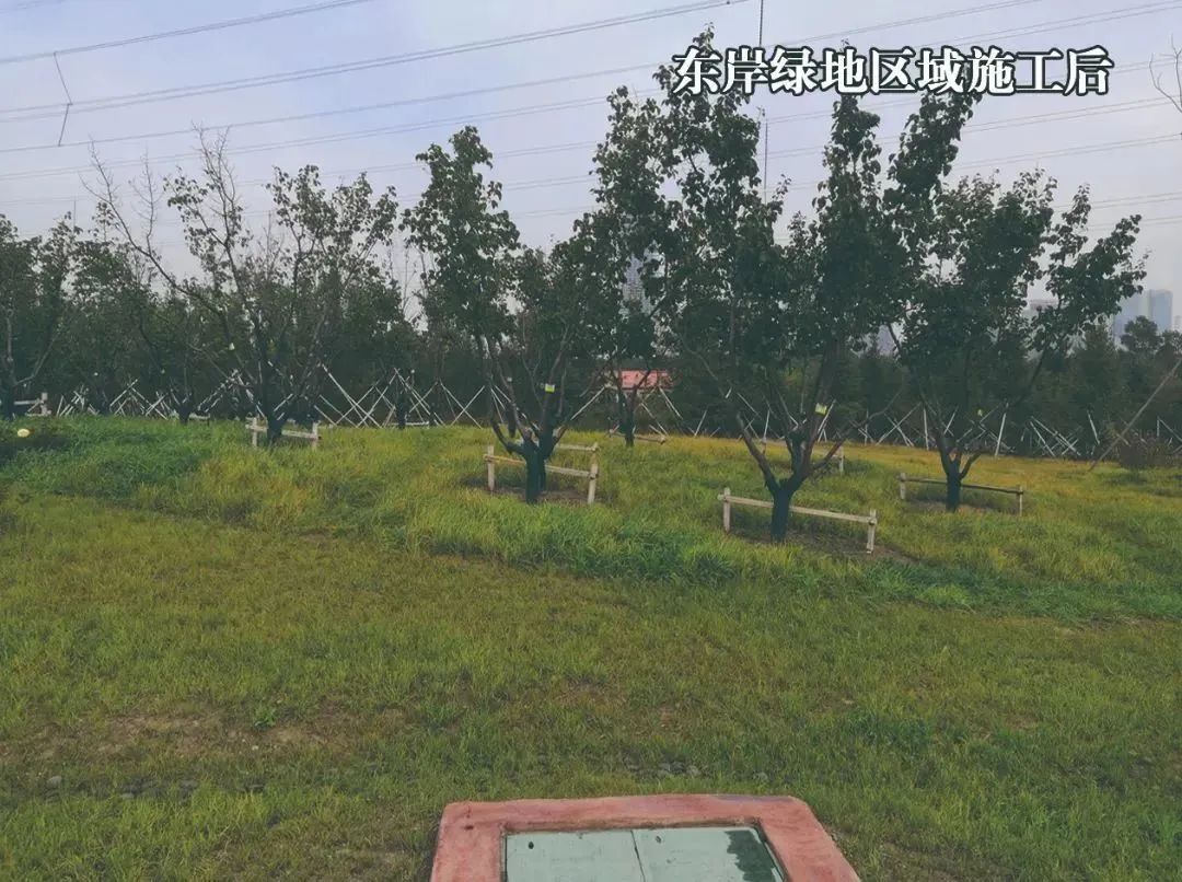 08.jpg 图片